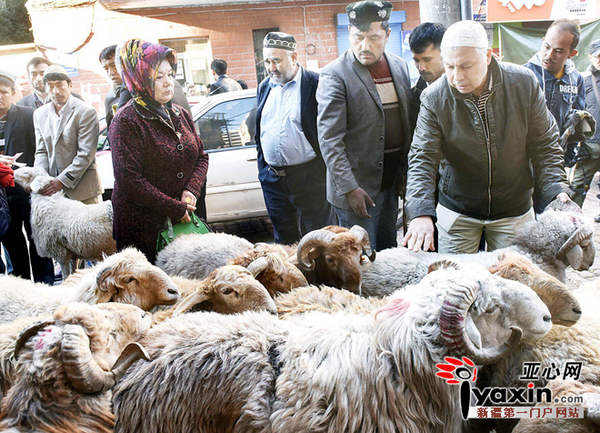 Xinjiang Muslims embrace Corban Festival
