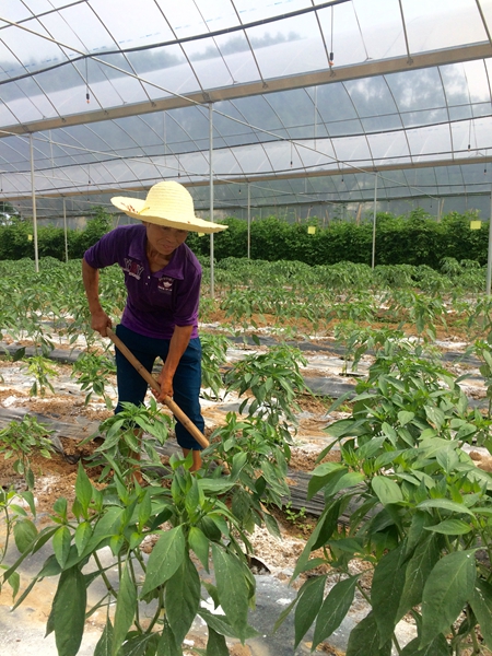 East China's long march out of poverty