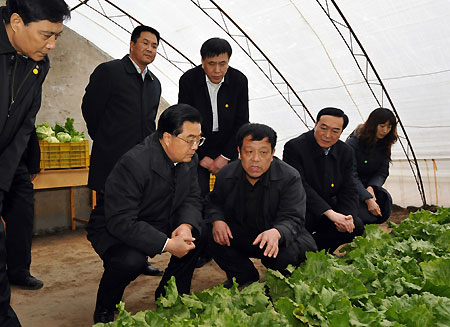 President Hu inspects Hebei, underlines agriculture