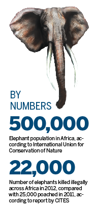 Illegal ivory stash destroyed