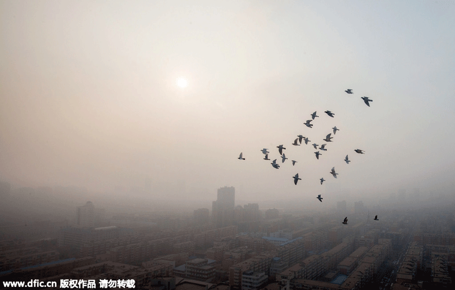 Haze envelops Northeast China's Changchun