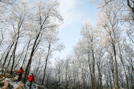 Visitors walk in a park with rime in Jinan, capital of east China&apos;s Shandong Province, Dec. 12, 2007. Peculiar rime appeared in Jinan on Wednesday due to low temperature and moist weather.