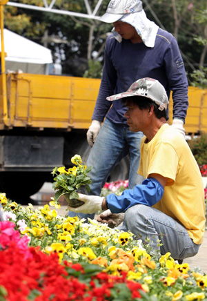 Workers arrange flowers at the venue of the 2008 Hong Kong Flower Show in Hong Kong of south China on March 13, 2008. The show, organized by Hong Kong Leisure and Cultural Services Department, featuring exhibits of floral arrangements presenting the Beijing 2008 Olympic Games mascots, is scheduled to open on March 14 until March 24 in Victoria Park on Hong Kong Island. 