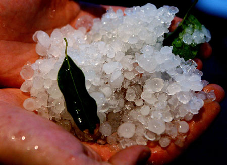 A pedestrian shows a handful of hailstones in Shanghai, east China, on June 7, 2008. A strong storm wind hit Shanghai on Saturday afternoon, with heavy hail in its Pudong district.