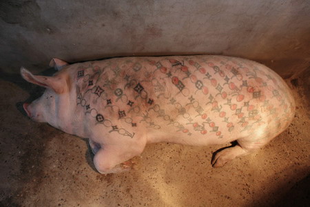 A tattooed pig rests in the "Art Farm" of Belgian conceptual artist Wim 