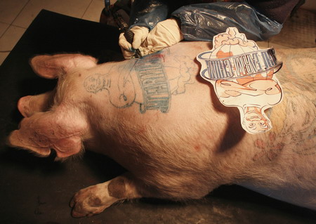 Pigs tattooed with the trademarked pattern of French luxury brand Louis  Vuitton are seen at a farm on the outskirts of Beijing Saturday, July 30,  2005. A Belgian artist Wim Delvoye has