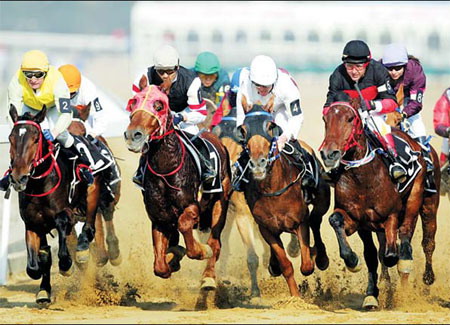 horse racing pictures. Horse racing is back on the