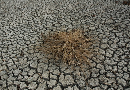 China in worst drought