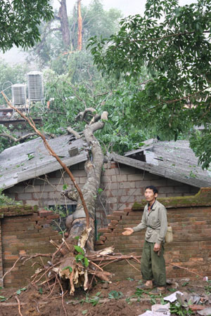 Some 25,000 rubber trees damaged by storm in S China