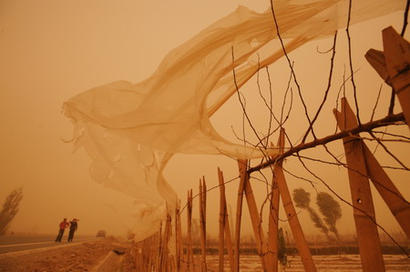 NW China sandstorm shuts airports, schools