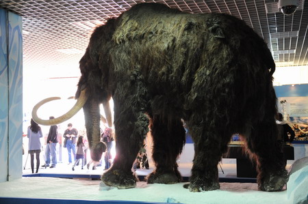 Ancient mammoths on display in Beijing