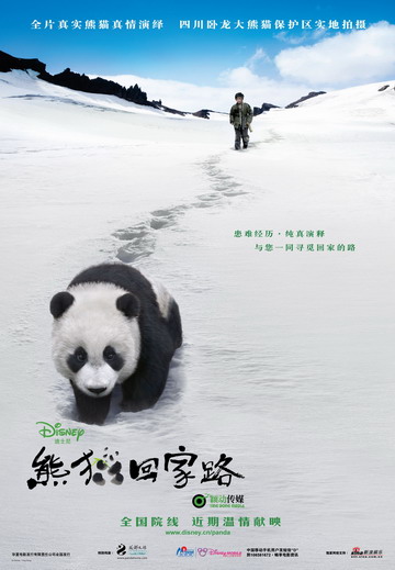 Pandering to every whim - a real panda movie!