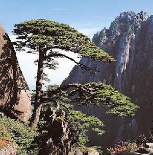 Huangshan Mountain