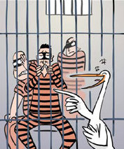 A bird in hand may worth time in jail for three men