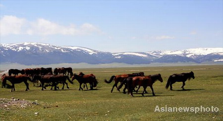 Summer on Lake Sayram