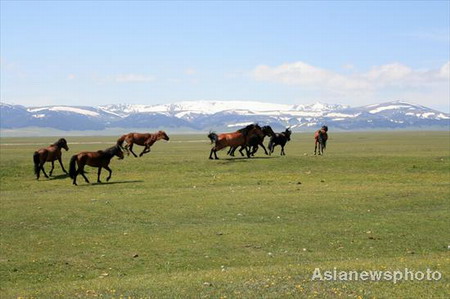 Summer on Lake Sayram