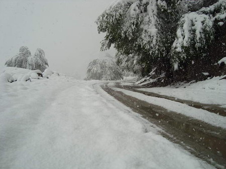 Summer blizzard hits NW China's Xinjiang