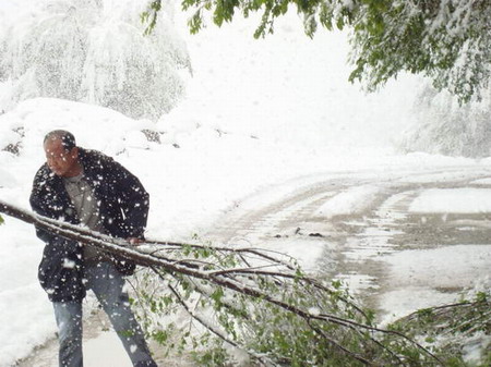 Summer blizzard hits NW China's Xinjiang