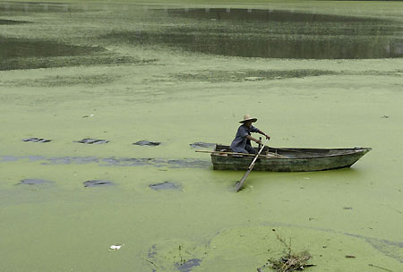 Paddling on a polluted river