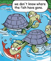 Resident unite to wipe out fish-eating turtles