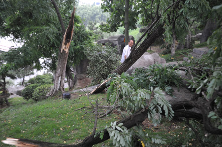 Storms and downpours sweep China, killing at least 50