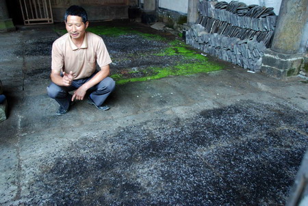 Ancestral hall's latest hanger-on