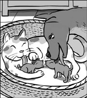 Loving cat and dog now raising litter of puppies
