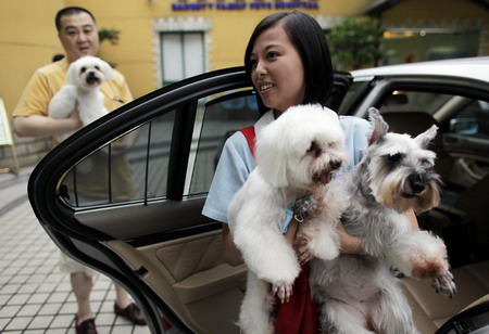 Pet salon in Shanghai