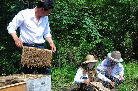Beekeepers perform a stunt