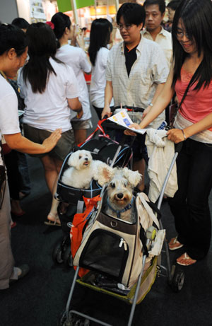 Pets cosmetic, decorative match held in Taipei
