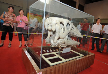 Dinosaur fossils on display in NW China city