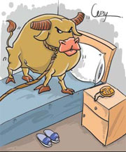 Bull checks in hotel for a comfortable night
