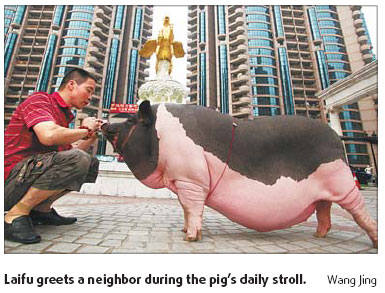 A pampered posh pig: nannies, massages, own rooms