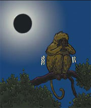 Scared of eclipse, monkey refuses to go into wild