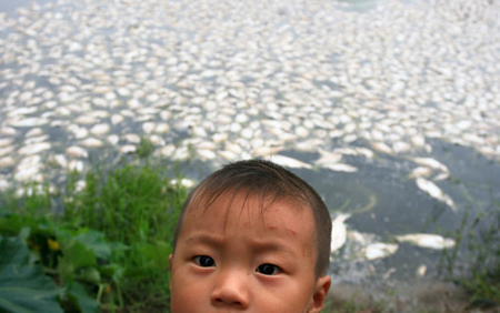 Fish farmer suffers heavily for poisoning