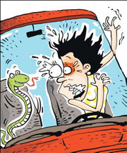 Woman jumps out of taxi after spotting snake