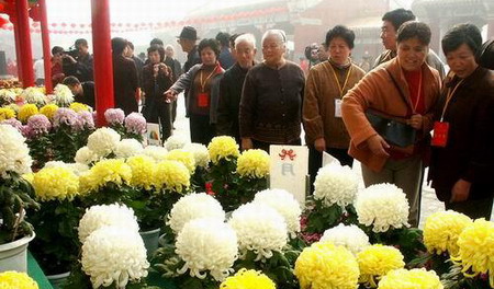 27th Kaifeng Chrysanthemum Festival kicks off in Oct