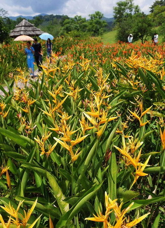 Jinghong: 'City of dawn' in Yunnan