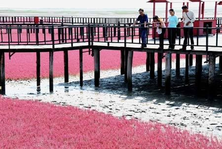 Giant national flag on the red beach