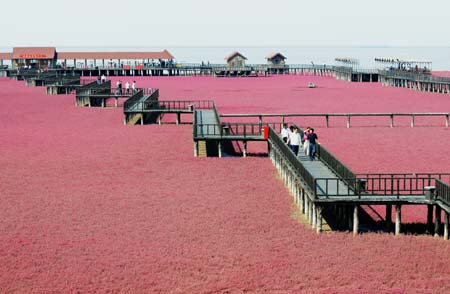 Giant national flag on the red beach