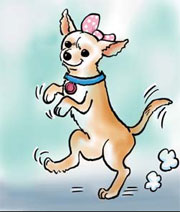 Dog under training for Guinness world record
