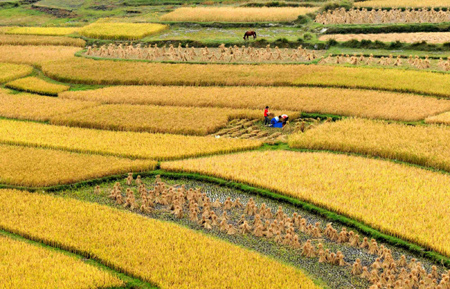 Autumn, a time of harvest