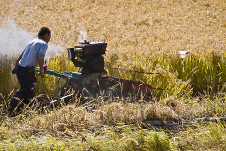 Autumn, a time of harvest