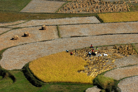 Autumn, a time of harvest