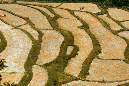 Autumn, a time of harvest