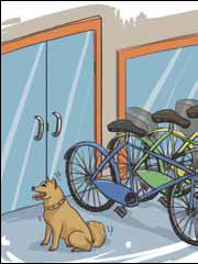 Dog guards diners' bikes outside master's eatery