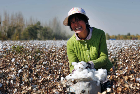 Cotton harvest in China's Xinjiang