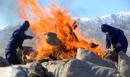 Tibetan antelope hides destroyed to show anti-poaching resolution