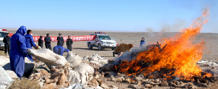 Tibetan antelope hides destroyed to show anti-poaching resolution