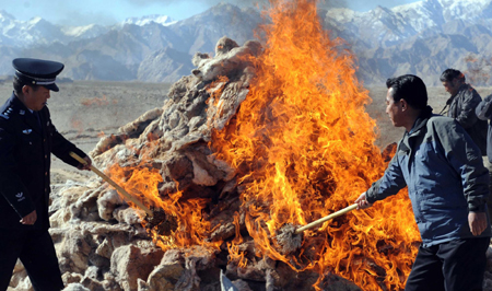 Tibetan antelope hides destroyed to show anti-poaching resolution